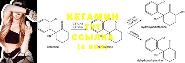 бошки Осинники