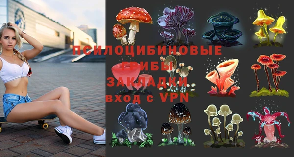 бошки Осинники