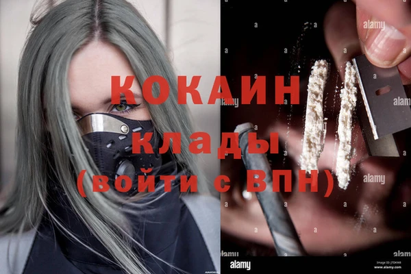 бошки Осинники