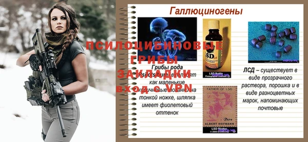 бошки Осинники