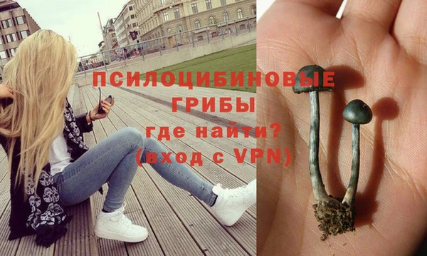 МДМА Осташков