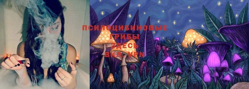 дарк нет формула  Отрадная  Псилоцибиновые грибы Magic Shrooms 